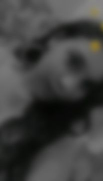 Vaishnavi, Surat, Gujarat